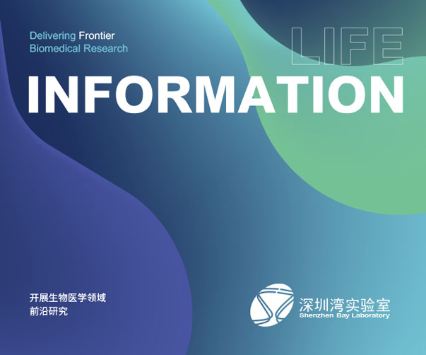 上海vi設計公司為什么半導體企業和科技企業服務案例多？